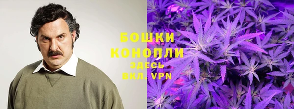 spice Абаза