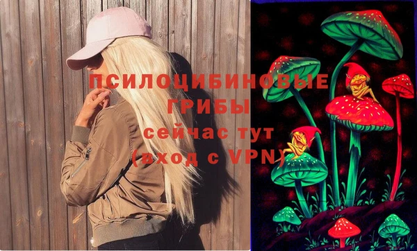 spice Абаза
